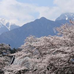 Yamanashi 5 villas