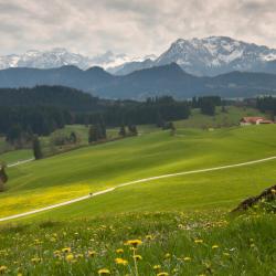 Seeg 11 ski resorts