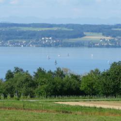 Konz 15 holiday rentals