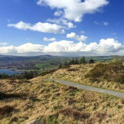 Rostrevor 4 B&Bs