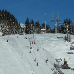 Lachtal 10 cabins