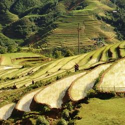 Lào Cai 4 chalets de montaña