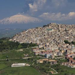 Gangi 6 guest houses