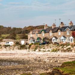 Silverdale 6 pet-friendly hotels