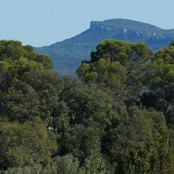 Saint-Ambroix 20 Hoteles con alberca