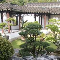 Fengxian 9 hotels