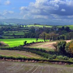 Downpatrick 6 B&Bs