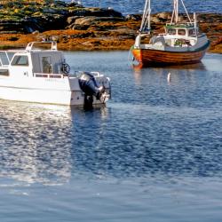 Bud 10 holiday rentals