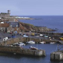 Elie 14 pet-friendly hotels