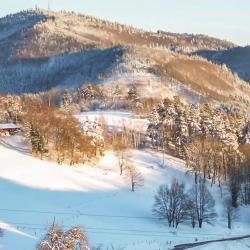 Zell im Wiesental 2 hoteles