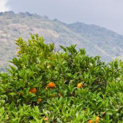 Graniti 16 cheap hotels