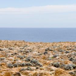 Cape Bridgewater 8 hotelů