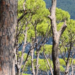 Ḩammānā 주차 가능한 호텔 3개