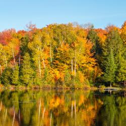 Sainte Anne des Lacs 3 hotely