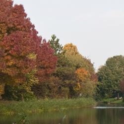 Меппел 6 готелів