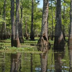 Opelousas 5 hotels with pools
