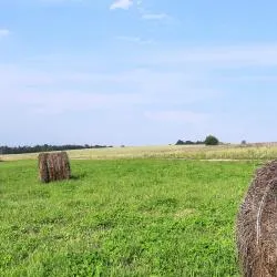 Læsø 3軒のホステル