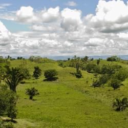 La Dorada 10 holiday rentals