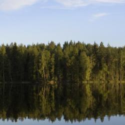 Taivalkoski 8 holiday rentals