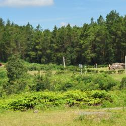 巴勒蒙 3家带泳池的酒店