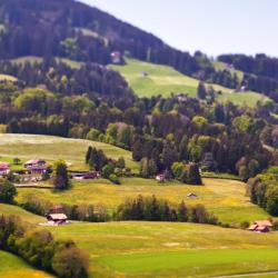 Châtel-Saint-Denis 3 hotely pro pobyt s domácími mazlíčky