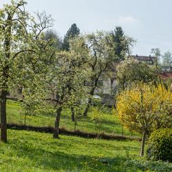 Gräfenberg 7 hotel