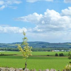 Kirriemuir 6 apartments