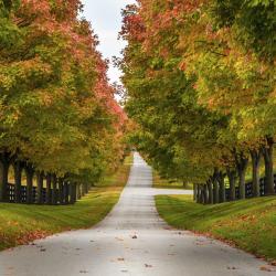 Versailles 6 hotels