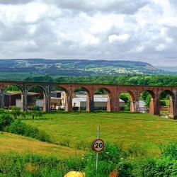 Whalley 11 pet-friendly hotels