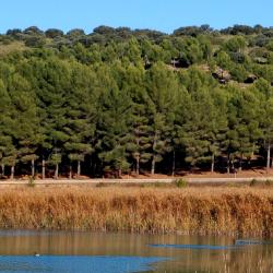 Ossa de Montiel 4 hotels met jacuzzi's