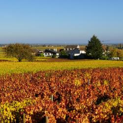 Chassagne-Montrachet 5 viešbučiai