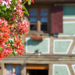 Saint-Amand-les-Eaux 25 family hotels