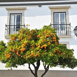 Loulé 4 resort