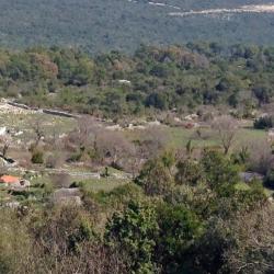 Luštica 8 of the cottages