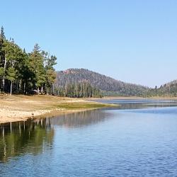 Duck Creek Village 84 hotelov