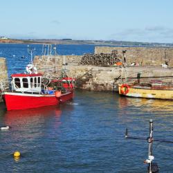 Fethard on Sea 13 of the villas