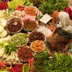 Kota Bharu 3 luxury hotels