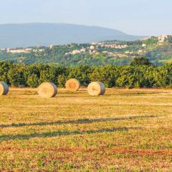 Borghetto 3 φθηνά ξενοδοχεία