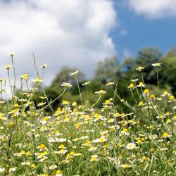 Vratsa 47 hotels with parking