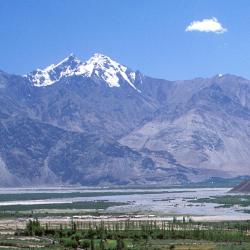 Nubra 5 glamping sites