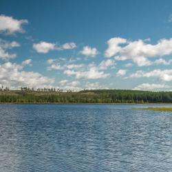 Сьорна 6 готелів, де можна проживати з хатніми тваринами