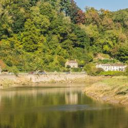 Tintern 9 pet-friendly hotels