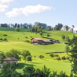 Goldau 3 apartmány