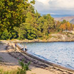 Ardentinny 3 four-star hotels