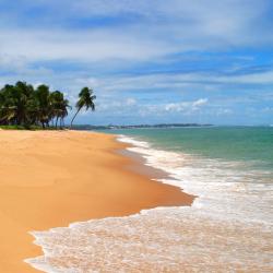 Conde 253 hotels