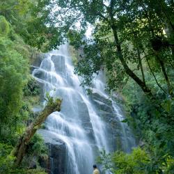 Itatiaia 125 hotelů