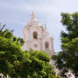 Ílhavo 3 pet-friendly hotels