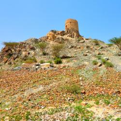 Hatta