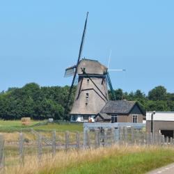 Oosterend 6 of the B&Bs