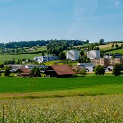 Oberkirch 1 hotel